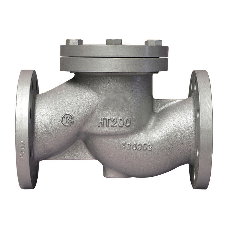 check valve